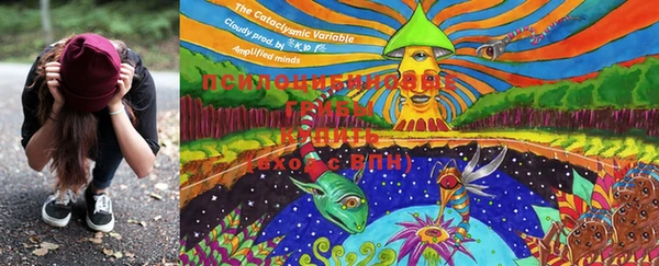 MDMA Premium VHQ Богородицк