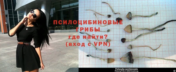 прущая мука Богородск