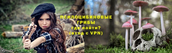 трава Бронницы