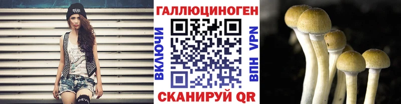 купить наркотик  Кашин  Псилоцибиновые грибы MAGIC MUSHROOMS 
