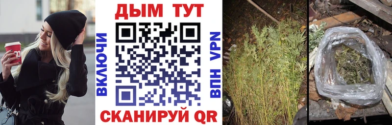 купить закладку  Кашин  Марихуана Bruce Banner 